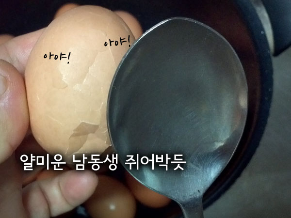 차달걀02.jpg